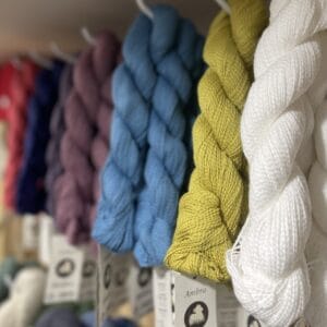 Ambra Lanasalpaca