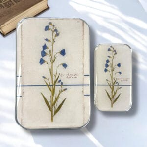 Cajitas BellFlore Firefly Notes