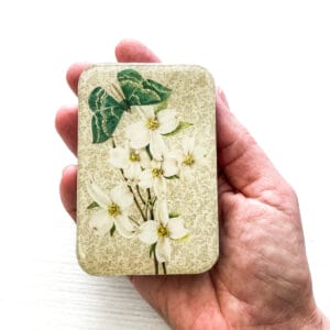 Cajita grande Green Moth Firefly Notes