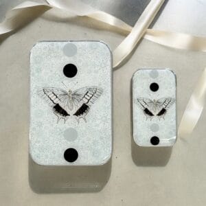 Cajitas Butterfly Firefly Notes