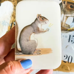 Cajitas Squirrel Firefly Notes