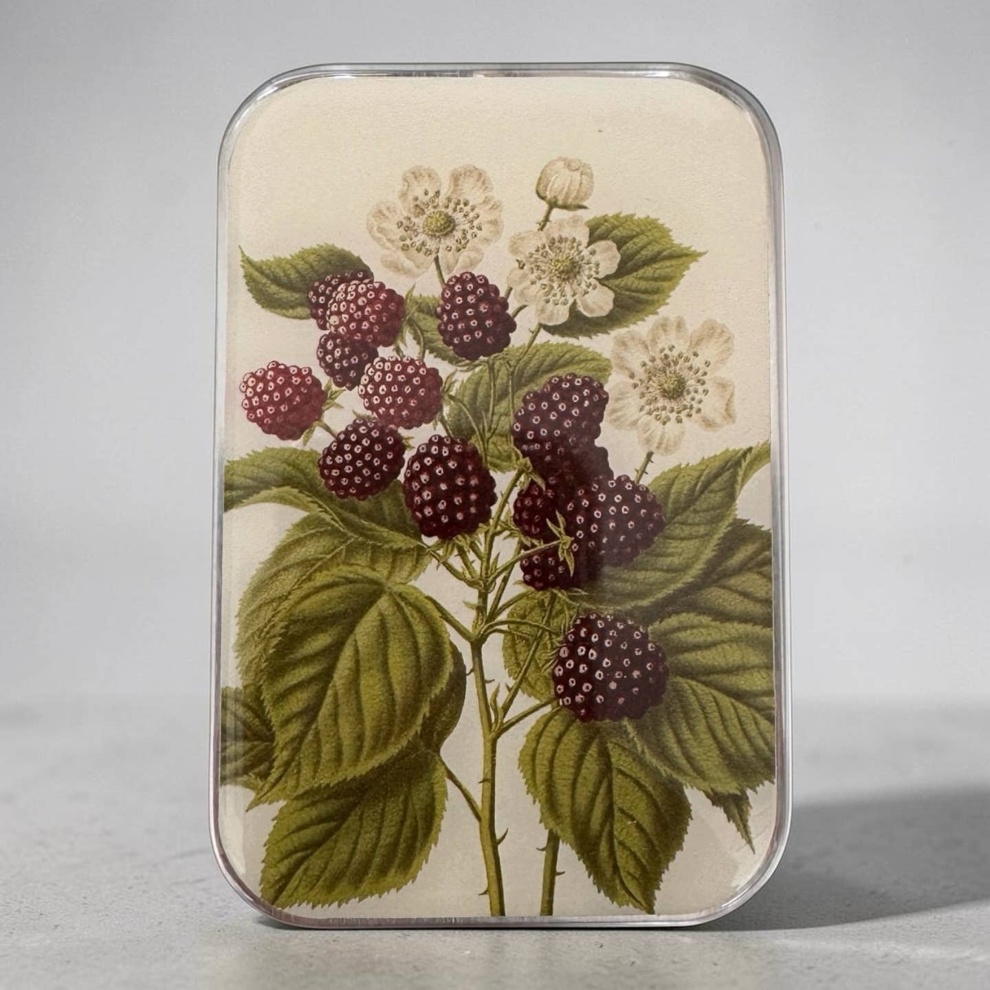 Cajitas Botanic Firefly Notes