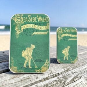 Cajitas Sea Side Walks of Natualist Firefly Notes